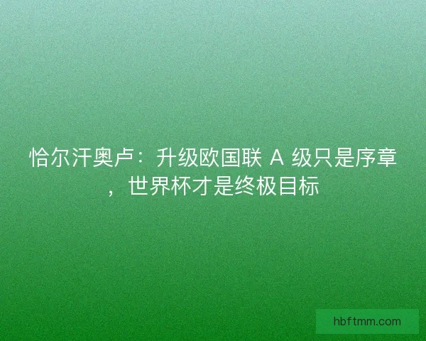恰尔汗奥卢：升级欧国联 A 级只是序章，世界杯才是终极目标