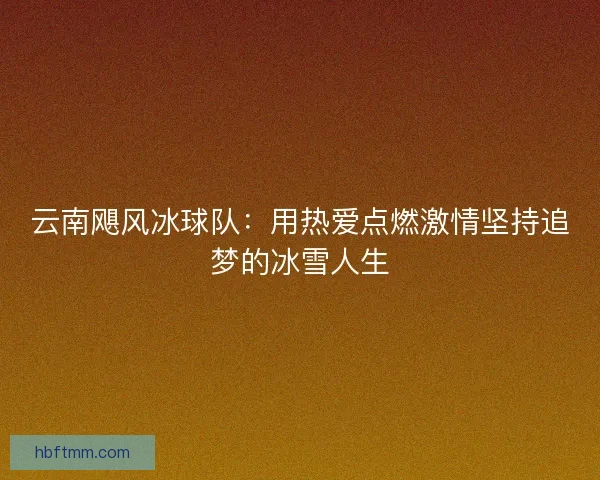 云南飓风冰球队：用热爱点燃激情坚持追梦的冰雪人生