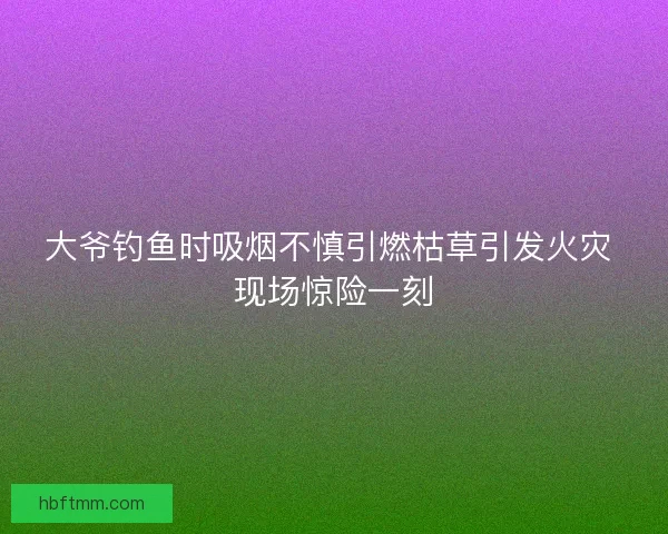 大爷钓鱼时吸烟不慎引燃枯草引发火灾 现场惊险一刻 大爷钓鱼时吸烟不慎引燃枯草引发火灾 现场惊险一刻